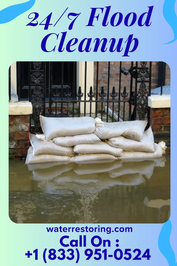 24/7 Flood Cleanup in Roscommon, MI