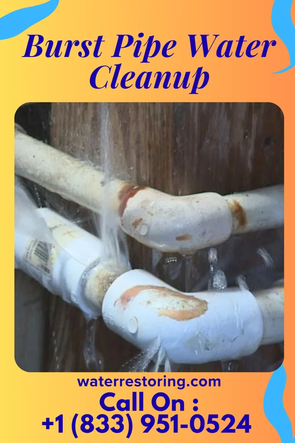 Burst Pipe Water Cleanup in Roscommon, MI