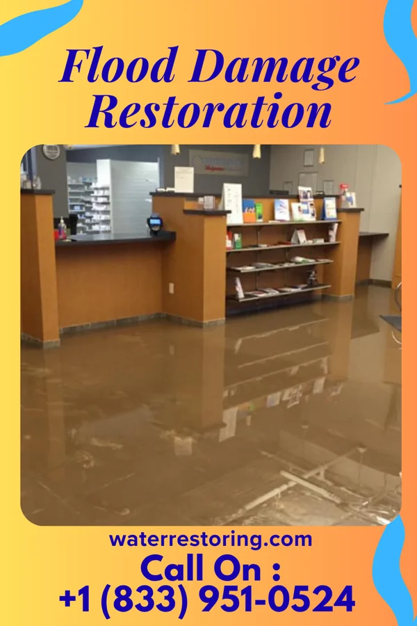 Flood Damage Restoration in Roscommon, MI