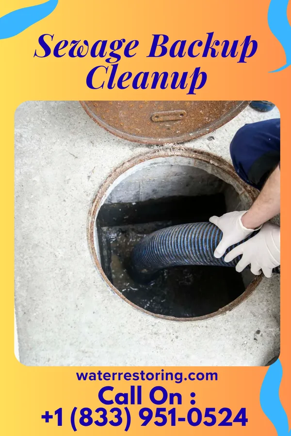 Sewage Backup Cleanup in Roscommon, MI